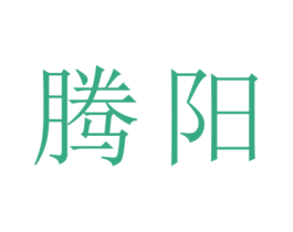 腾阳 第26类花边配饰商标图样