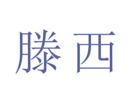 滕西 第11类家用电器商标图样