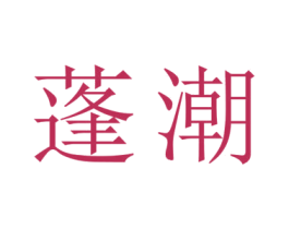 蓬潮 第10类医疗器械商标图样