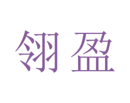 翎盈 第27类地毯席垫商标图样