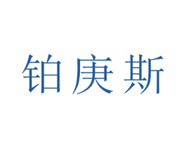 铂庚斯 第7类机械设备商标图样