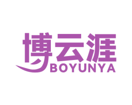 博云涯 第41类教育娱乐商标图样