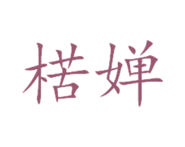 楛婵 第25类服装鞋帽商标图样