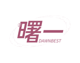 曙一 DAWNBEST 第27类地毯席垫商标图样
