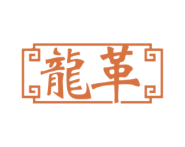 龙革 第25类服装鞋帽商标图样
