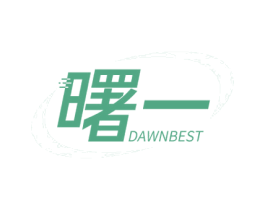 曙一 DAWNBEST 第19类建筑材料商标图样