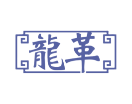 龙革 第18类皮革箱包商标图样