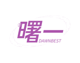 曙一 DAWNBEST 第17类橡胶制品商标图样