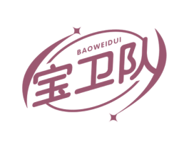 宝卫队 第10类医疗器械商标图样