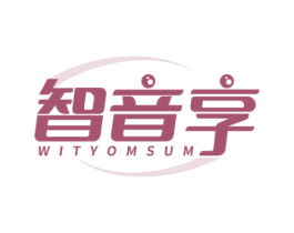 智音享 WITYOMSUM 第9类科学仪器商标图样