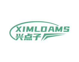 XIMLDAMS 兴点子 第9类科学仪器商标图样