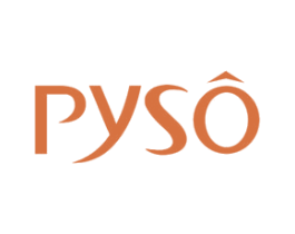 PYSO 第3类化妆品商标图样