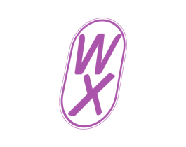 WX 第32类啤酒饮料商标图样