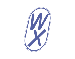 WX 第10类医疗器械商标图样