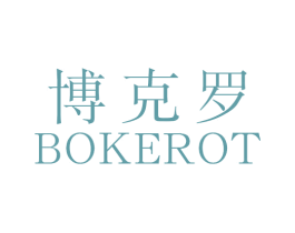 博克罗 BOKEROT 第9类科学仪器商标图样