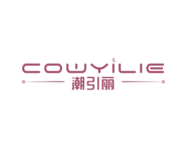 潮引丽 COWYILIE 第26类花边配饰商标图样