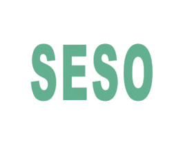SESO 第3类化妆品商标图样