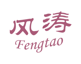 风涛 第41类教育娱乐商标图样