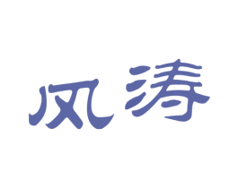 风涛 第5类医药商标图样