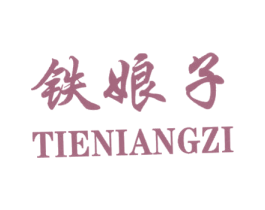 铁娘子 第36类金融物管商标图样