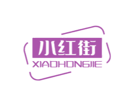 小红街 第9类科学仪器商标图样