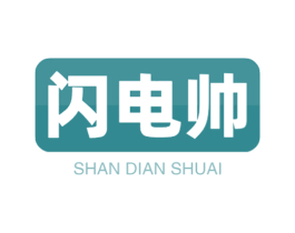 闪电帅 第9类科学仪器商标图样