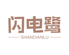 闪电鹭 第9类科学仪器商标图样