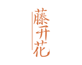 藤开花 第20类家具商标图样