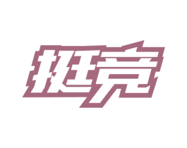 挺竞 第41类教育娱乐商标图样