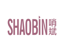 哨斌 第9类科学仪器商标图样