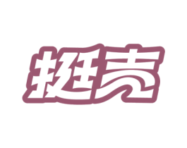 挺壳 第9类科学仪器商标图样