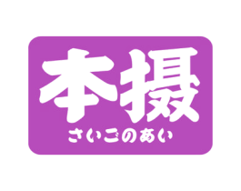 本摄 第5类医药商标图样