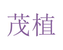 茂植 第24类布料床单商标图样