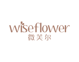微芙尔 WISEFLOWER 第16类办公工具商标图样
