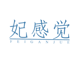 妃感觉 第3类化妆品商标图样