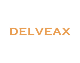 DELVEAX 第18类皮革箱包商标图样