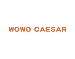 WOWO CAESAR 第30类小食配料商标图样