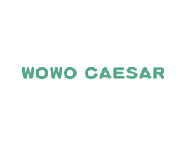 WOWO CAESAR 第29类食品商标图样
