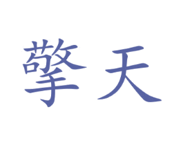 擎天 第5类医药商标图样