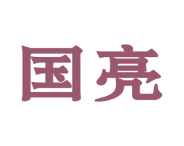 国亮 第6类五金金属商标图样