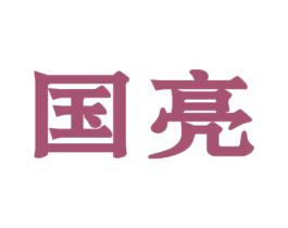 国亮 第7类机械设备商标图样