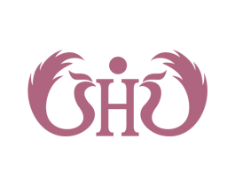 H 第16类办公工具商标图样