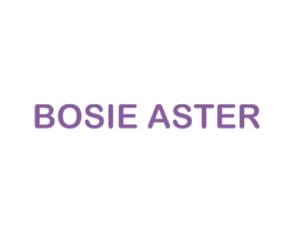 BOSIE ASTER 第25类服装鞋帽商标图样