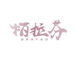 柏拉芬 BRAFAD 第11类家用电器商标图样