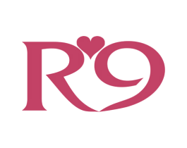 R9 第29类食品商标图样