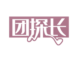 团探长 第42类技术服务商标图样
