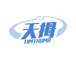 天拇 TIMTHUMB 第9类科学仪器商标图样