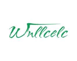 WNLLCELC 第25类服装鞋帽商标图样