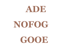 ADE NOFOG GOOE 第25类服装鞋帽商标图样