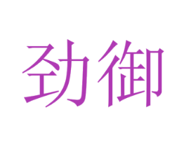 劲御 第42类技术服务商标图样